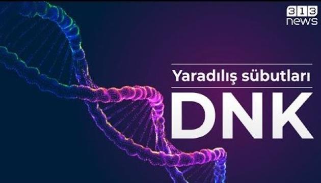 Yaradılış sübutları - DNK